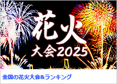 10032584_0_8b32ffe4dbe5bd005561cbedf8504012
