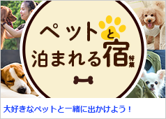 10032584_0_cf415acd99117f5d071bf9a90627889b