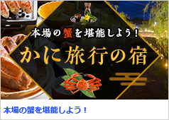 10032584_0_3333e737bc4e671b41e77fc201c953f3