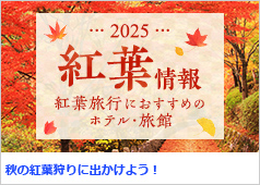 10032584_0_da4c260899a5788f174b8460e906702d