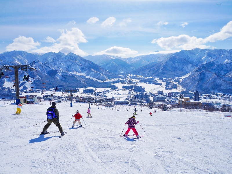 b76f2fbd66e20f770ab0d0999d231667